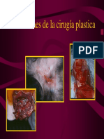 Cirugia Plastica y Reparadora Veterinaria.pdf
