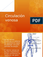 Circulación Venosa