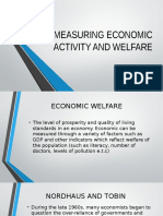 Measuring Economic Activity and Welfare