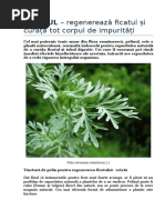 PELINUL – Regenerează Ficatul Și Curăță Tot Corpul de Impurități