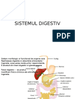 Sistemul Digestiv