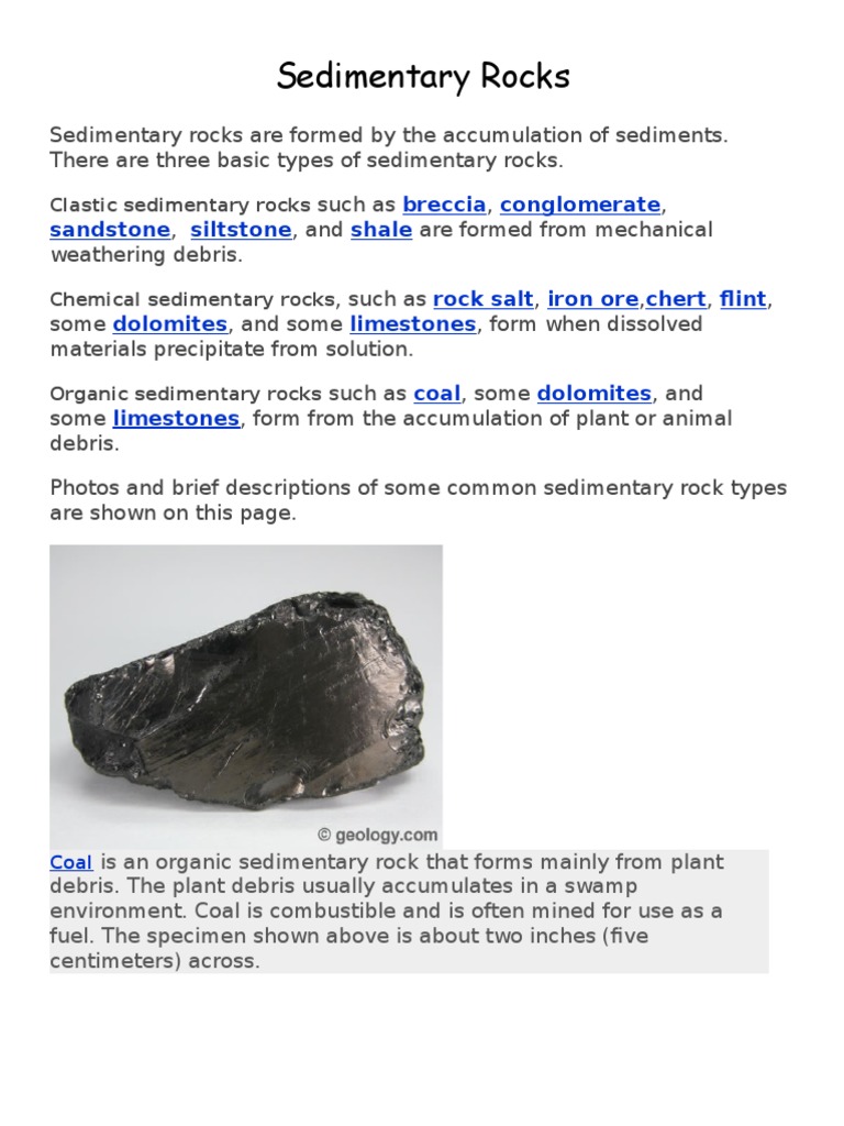 Types of Sedimentary Rocks Guide | PDF | Sedimentary Rock | Clastic Rock, image size:768x1024