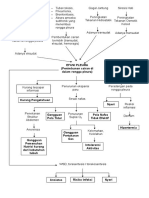 Pathway Efusi Pleura