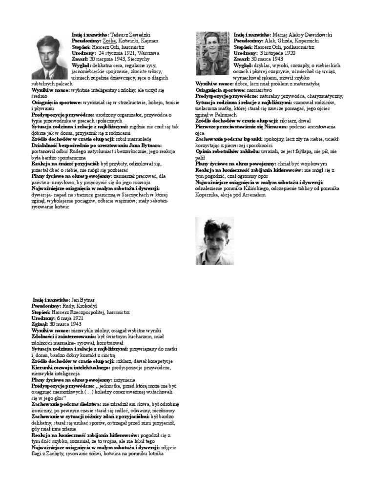 Wygląd Alka Z Kamieni Na Szaniec