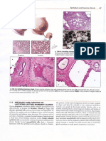 histology