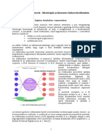 B2C_elektronikus_piacterek.pdf