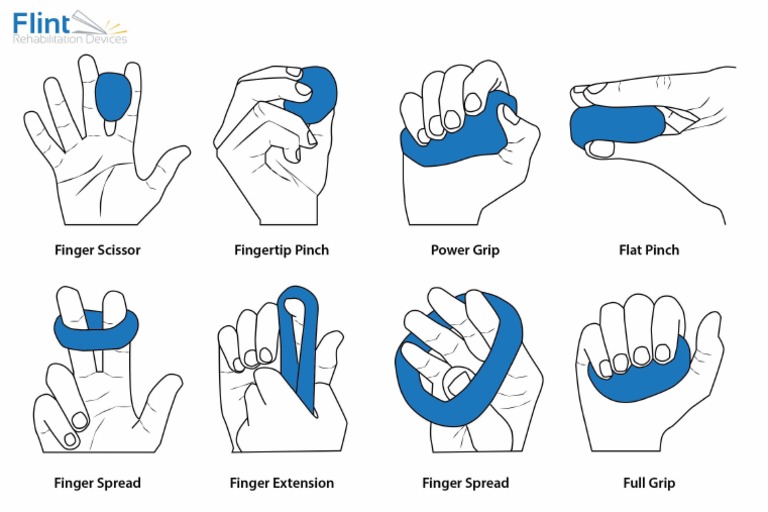 Flint Hand Therapy Putty Exercises PDF | PDF