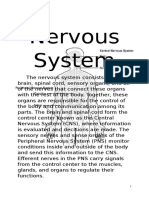 Nervous System