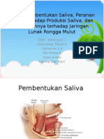 Proses Pembentukan Saliva, Peranan Saraf Terhadap Produksi