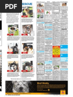 Download Perth Sunday Times - Week 8 - 662010 by John_Bishop_3317 SN34035200 doc pdf