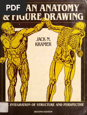 Human Anatomy And Figure Drawing Pdf Space Quantity