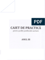 Caiet de Practica Anul III PDF