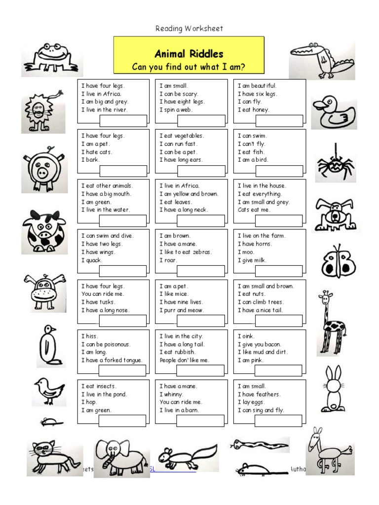 Animal Riddles Lion Cats