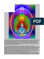 Chakras Alfa e Ômega: estrutura e funções