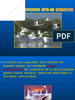 Relatii Intraspecifice La Plante Și Animale