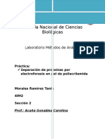 P.12 ELECTROFORESIS.docx