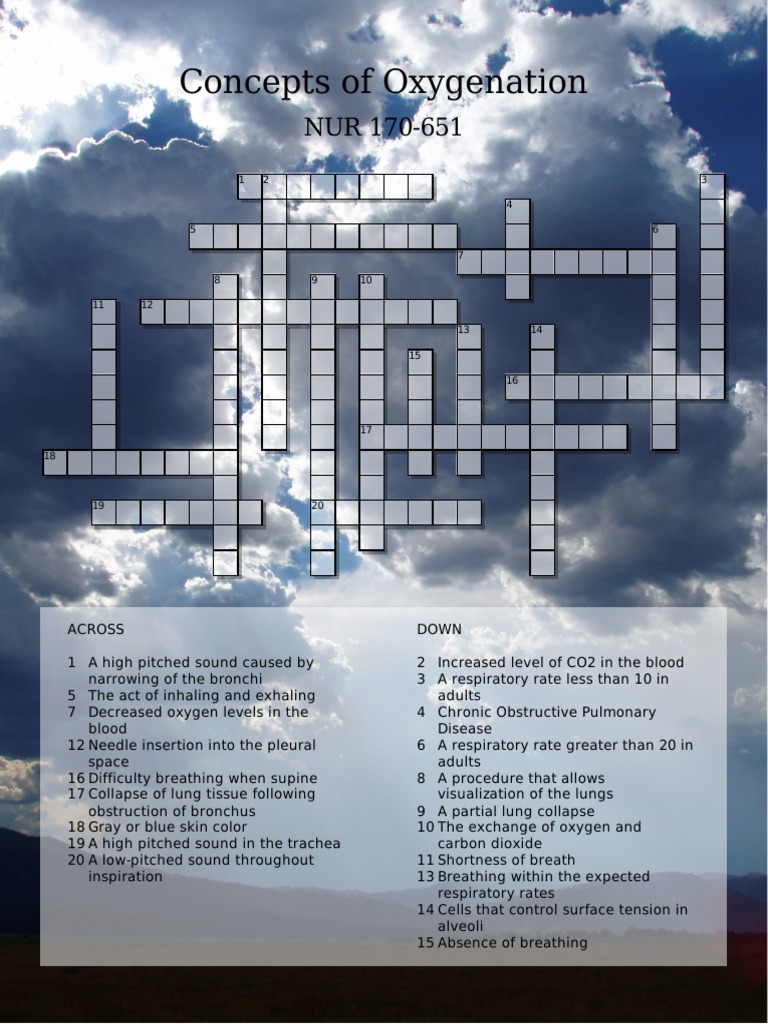 Conceptsofoxygenation Crossword PDF Lung Respiratory System