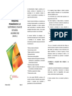 Triptico2-Principios Pedagogicos PDF