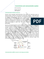 Types of Neuron Transmission and Communication System