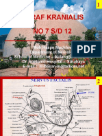 Clerk05 Nervi Kranialis