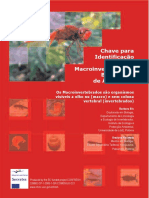 Chave de identificação de macroinvertebrados.pdf