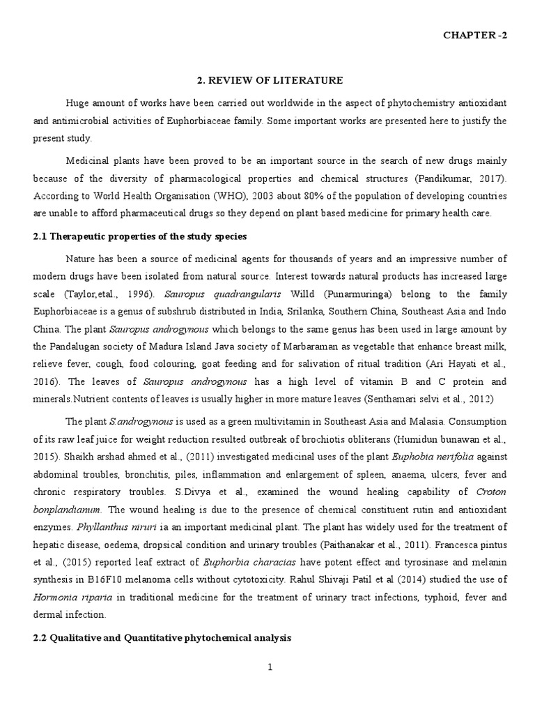 Literature review docx 07 picture