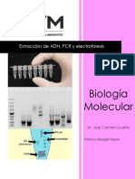 PCR Molecular