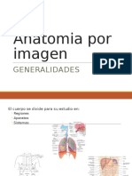 Anatomia Por Imagen