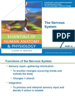 The Nervous System: Part A