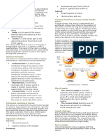 Uterus Structure and Function