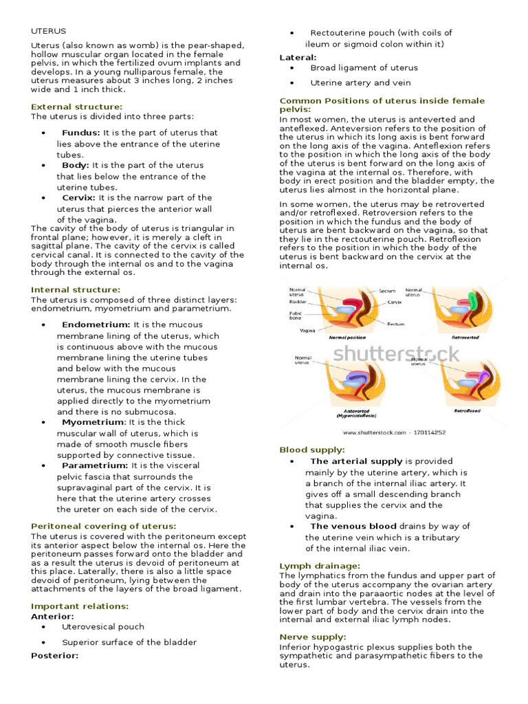 A1C test intelligence overview