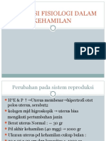 Adaptasi DLM Kehamilan