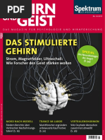 Gehirn Und Geist 2015-6