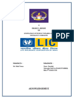 Project Report LIC