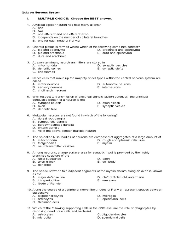 Quiz On Nervous System PDF Neuron Axon