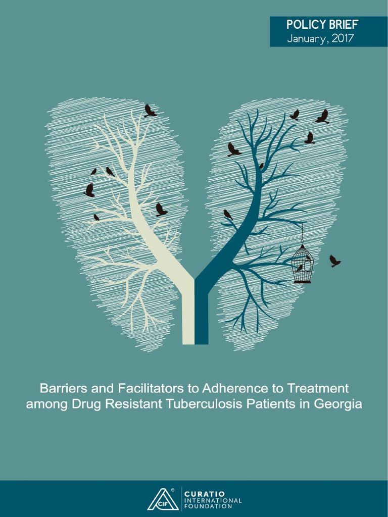Barriers and Facilitators To Adherence To Tuberculosis Treatment Among ...