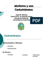 Carbohidratos