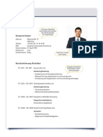 Lebenslauf PDF