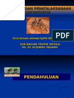 Diagnosis Dan Penatalaksanaan Chikungunya