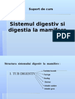 sistemul digestiv bun.pptx