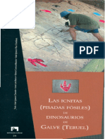 Icnitas de Dinosaurio en Teruel