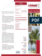 Brochure Incendio