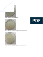 Figure 1 Shows The Control Agar Plate