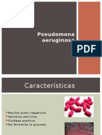 Pseudomona-Aeu