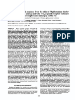 Dermorphin Related Peptides