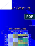219666956-Protein-Structure.ppt