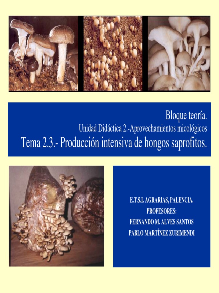 Produccion Intensiva de Hongos Saprofitos | PDF | Compost | Hongo