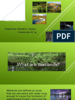 Wetlands: Prepared By: Benedict J. Salazar Christer John M. Uy