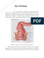 Anatomi dan Fisiologi hirschsprung.docx