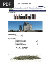 Download Animal Feed Mill by shani27 SN34052798 doc pdf